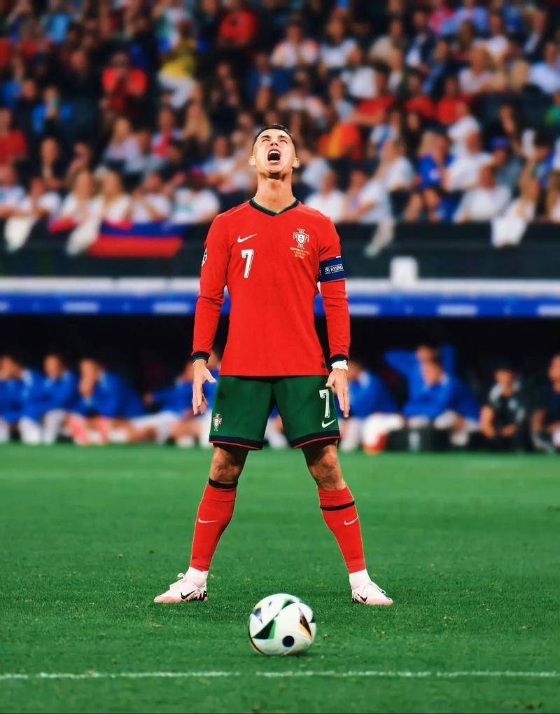 从绿茵竞争 从绿茵竞争