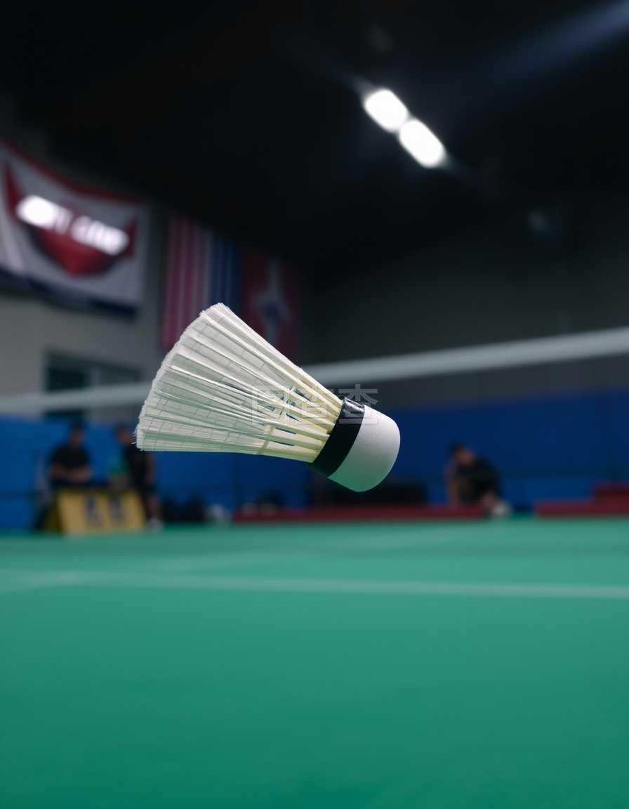 把这两者结 把这两者结