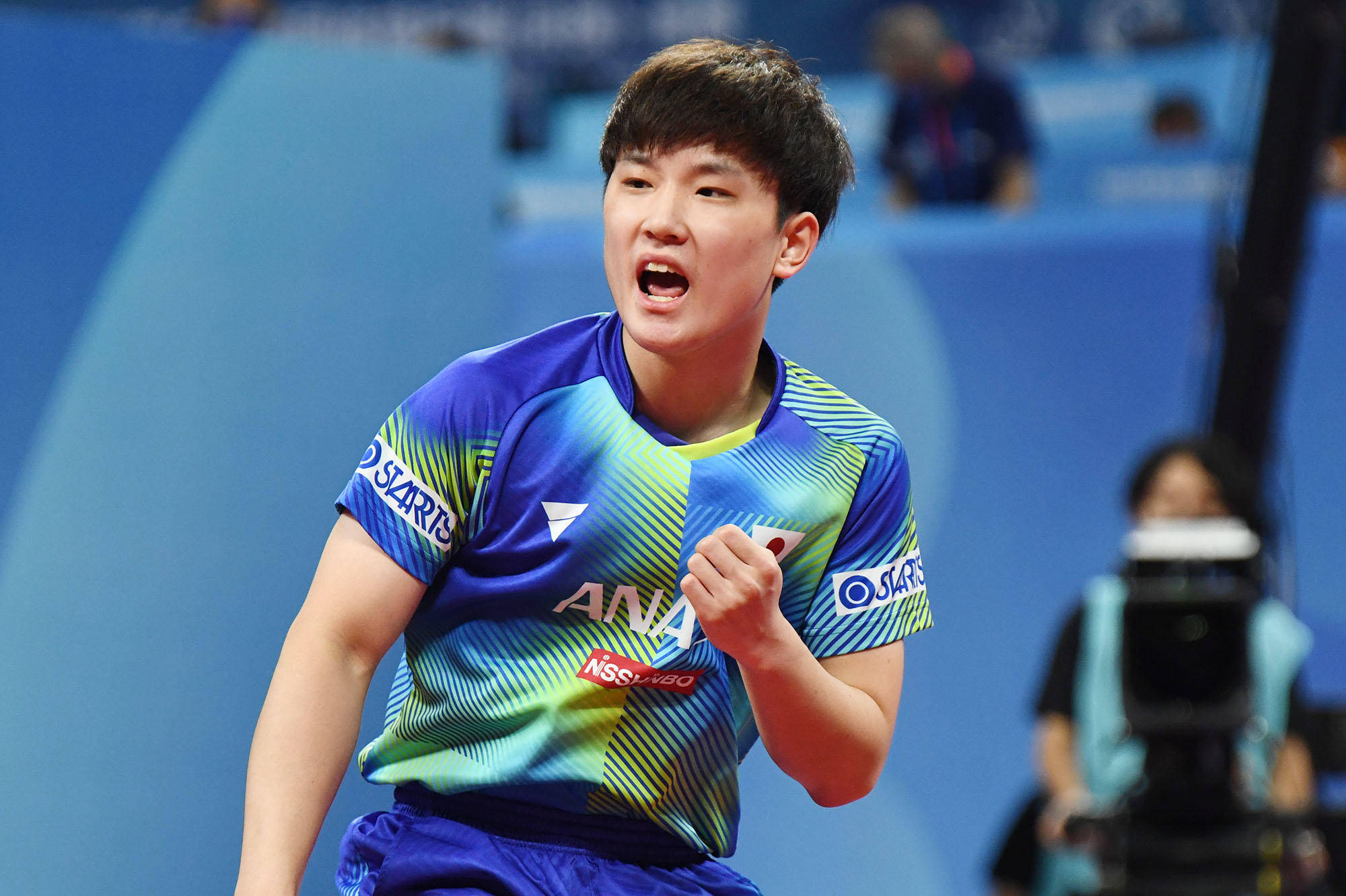 体艺结合的 体艺结合的