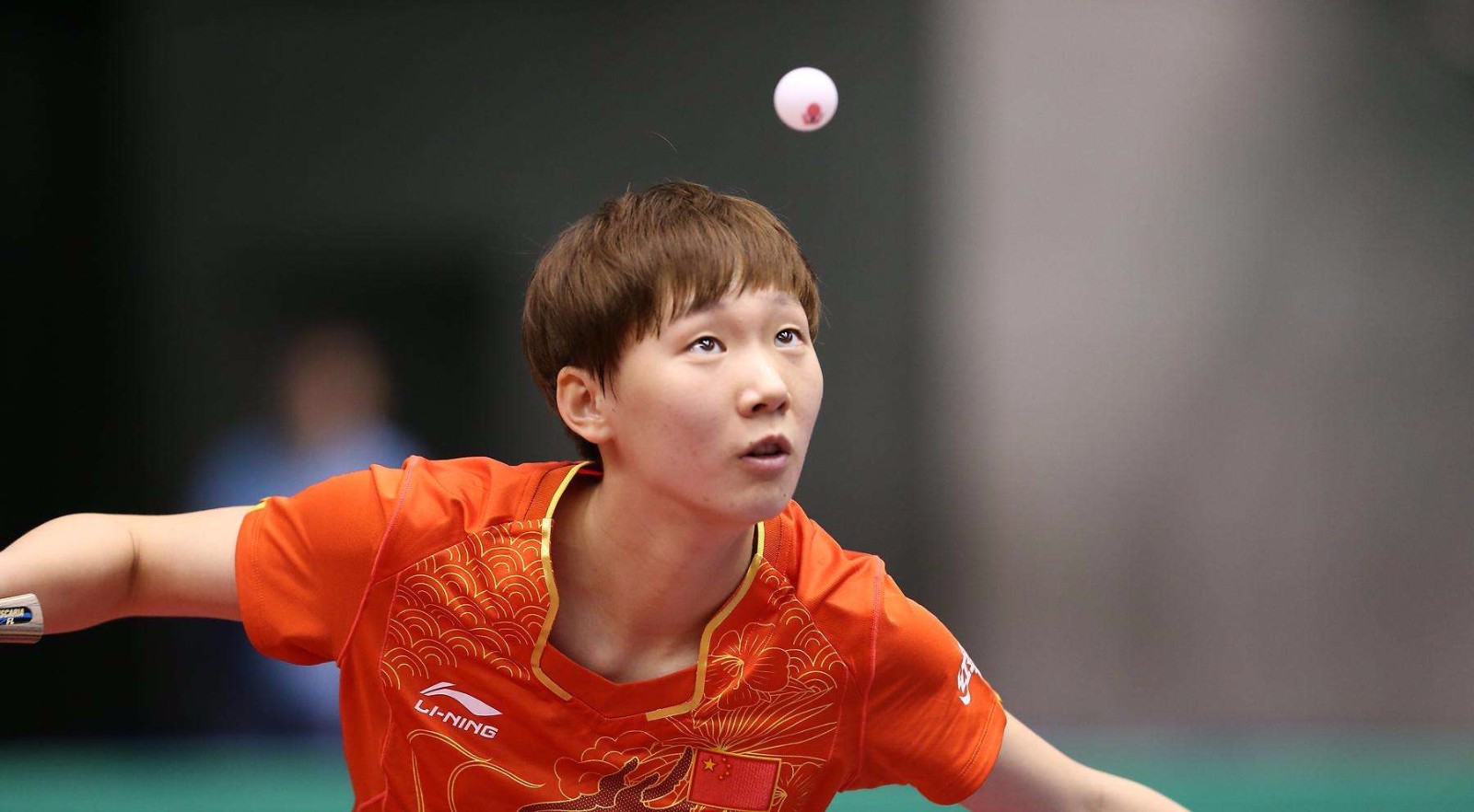 的成长闭环 的成长闭环