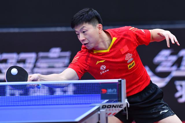 供了背景样 供了背景样