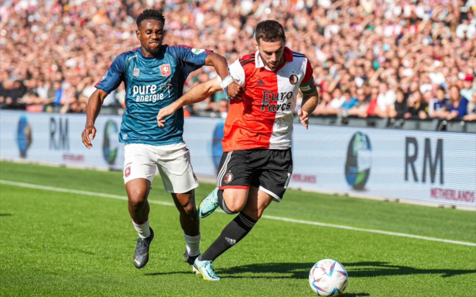 其共同特征 其共同特征